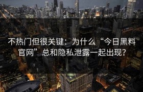 不热门但很关键：为什么“今日黑料官网”总和隐私泄露一起出现？