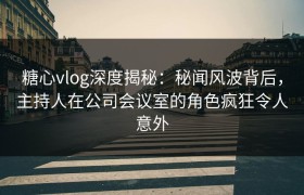 糖心vlog深度揭秘：秘闻风波背后，主持人在公司会议室的角色疯狂令人意外