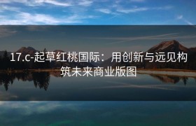 17.c-起草红桃国际：用创新与远见构筑未来商业版图