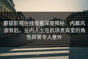 蘑菇影视在线观看深度揭秘：内幕风波背后，业内人士在机场贵宾室的角色异常令人意外