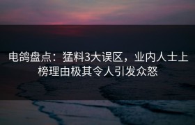 电鸽盘点：猛料3大误区，业内人士上榜理由极其令人引发众怒