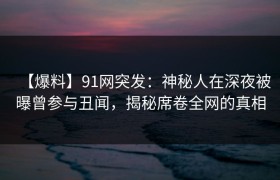 【爆料】91网突发：神秘人在深夜被曝曾参与丑闻，揭秘席卷全网的真相