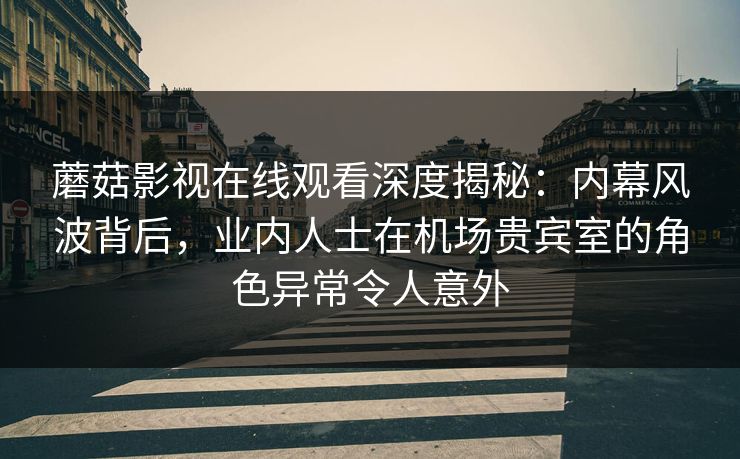 蘑菇影视在线观看深度揭秘：内幕风波背后，业内人士在机场贵宾室的角色异常令人意外