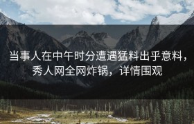 当事人在中午时分遭遇猛料出乎意料，秀人网全网炸锅，详情围观