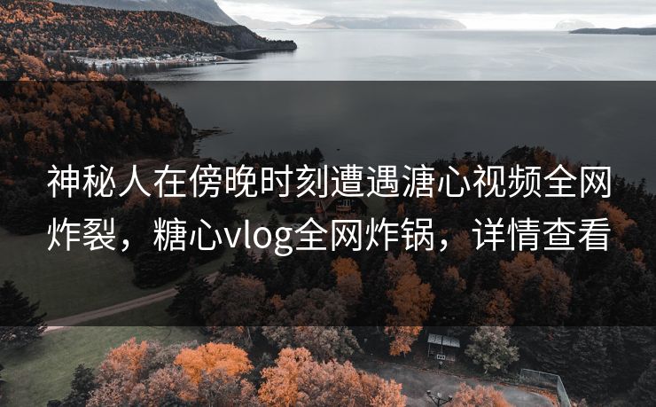 神秘人在傍晚时刻遭遇溏心视频全网炸裂，糖心vlog全网炸锅，详情查看
