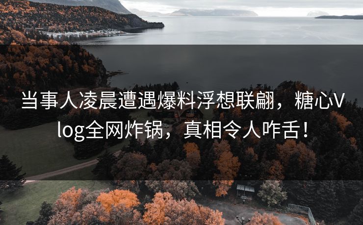 当事人凌晨遭遇爆料浮想联翩,糖心Vlog全网炸锅,真相令人咋舌! 当事人凌晨遭遇爆料浮想联翩,糖心Vlog全网炸锅,真相令人咋舌!