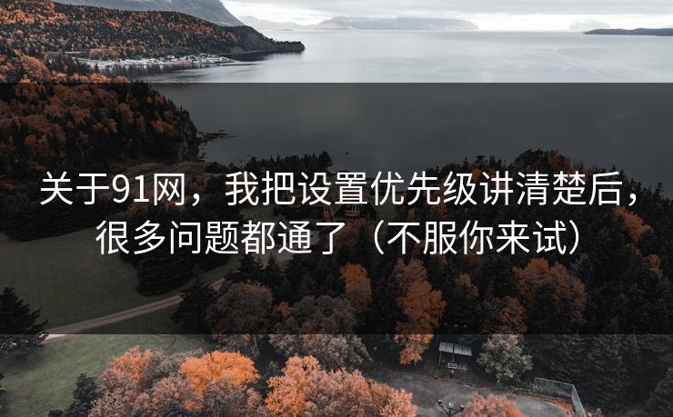 关于91网,我把设置优先级讲清楚后,很多问题都通了(不服你来试) 关于91网,我把设置优先级讲清楚后,很多问题都通了(不服你来试)